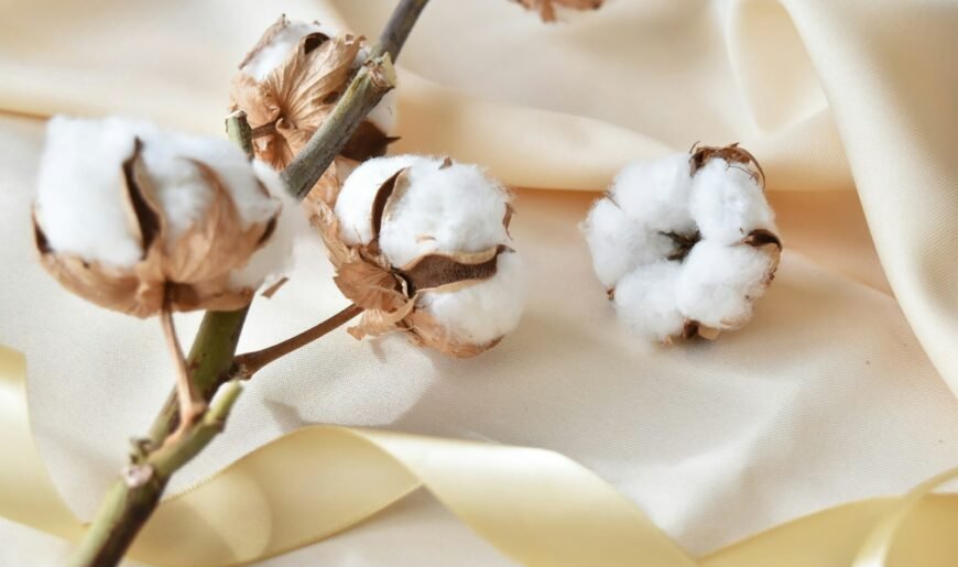 Gros plan sur des fleurs de coton posées sur un tissu